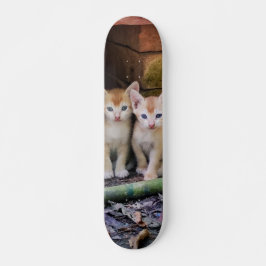 Skate Patineta Dos Gaticos Hermanos Atentos