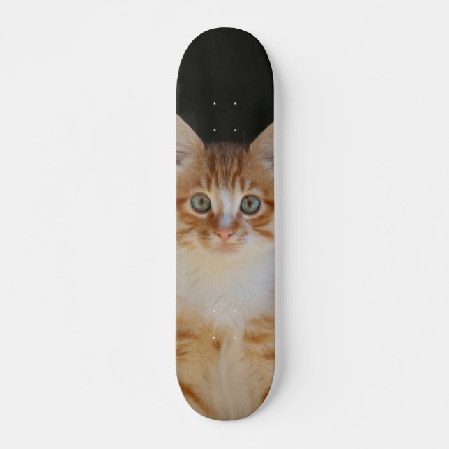 Skate Patineta Gato amarillo Y Blanco Atento (Frente)
