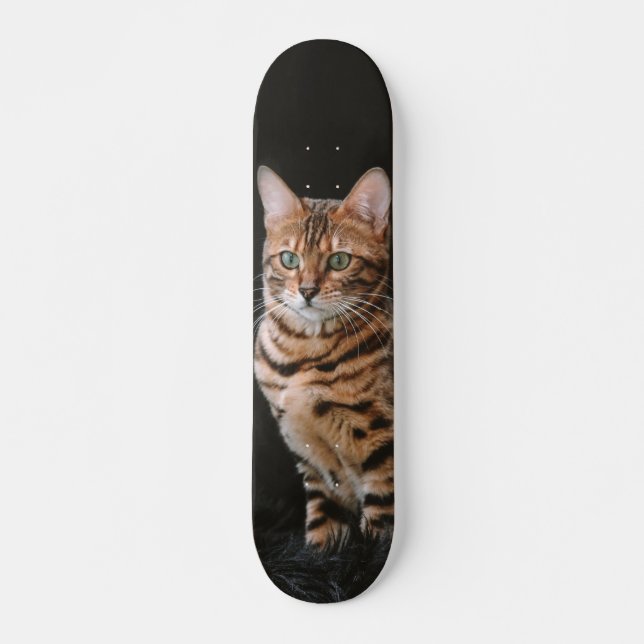 Skate Patineta Gato De Raza Bengala (Frente)