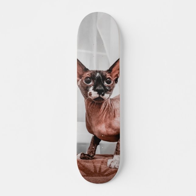 Skate Patineta Gato Raza Esfinge  (Frente)