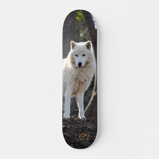 Skate Patineta Lobo Blanco En El Bosque (Frente)