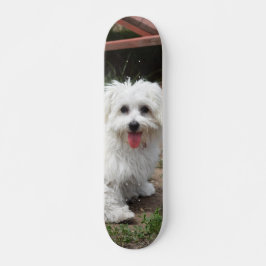 Skate Patineta Perro Pequeño Blanco Y Peludo