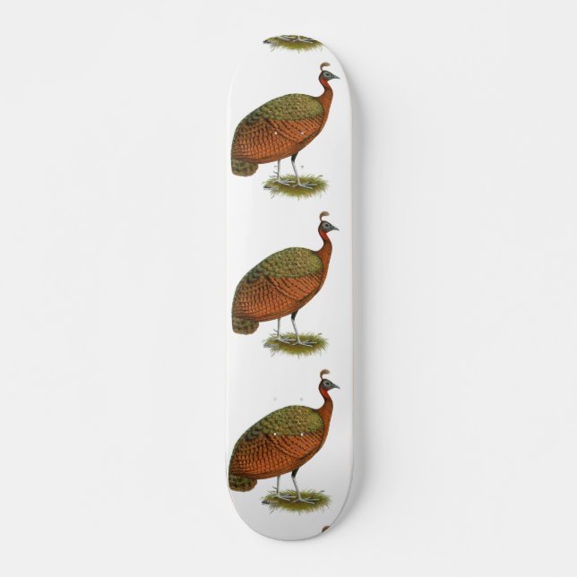 Skate Peafowl do Congo (Frente)