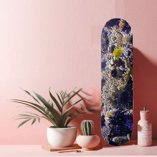 Skate Peixes no recife de coral