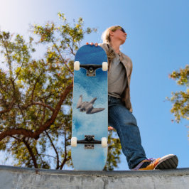 skate peregrino falcão