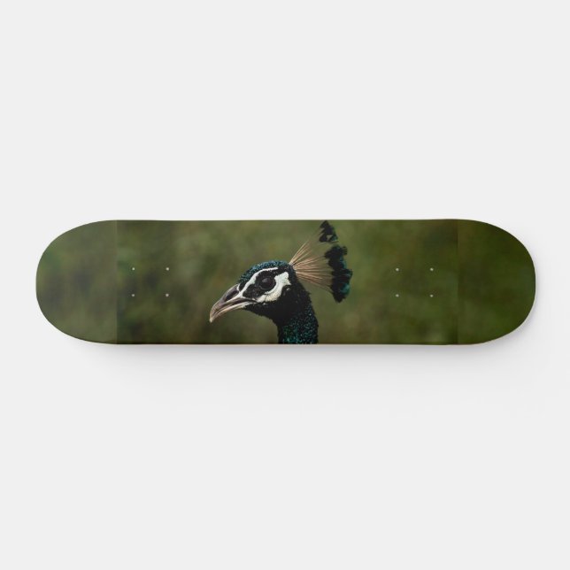 Skate Perfil de Peacock (Horz)