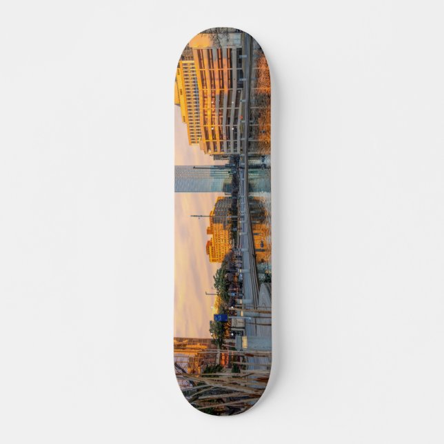 Skate Pioneer Plaza Pond Morning (Frente)