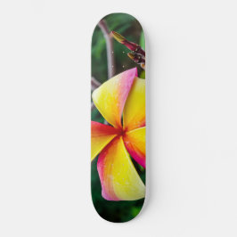 Skate Plumeria rubra