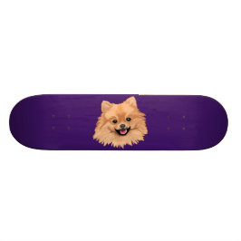 Skate Pomeranian