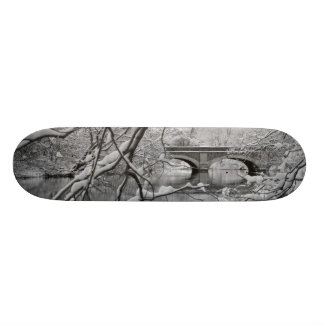Skate Ponte do arco sobre o rio congelado no inverno