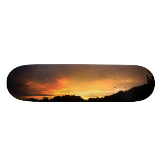 Skate Por do sol