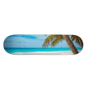 Skate Praia do Paraíso Tropical