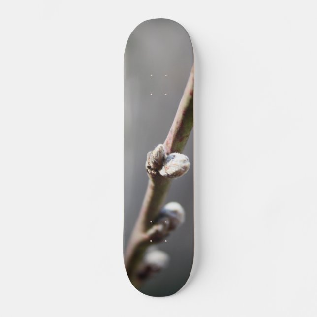 Skate Primavera está chegando (Frente)