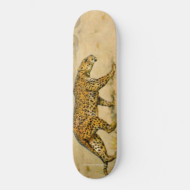 Skate Prowling Cheetah (Frente)