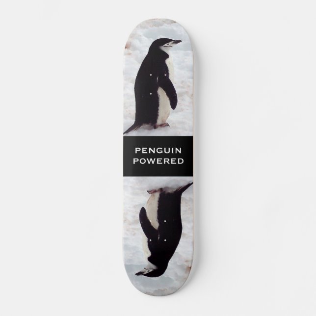 Skate psto pinguim (Frente)