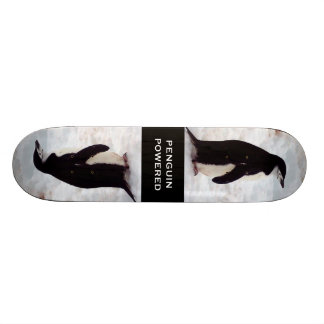 Skate psto pinguim