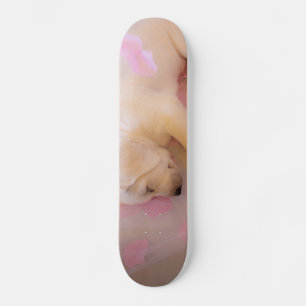 Skate Puppy Sleepy Veil 01