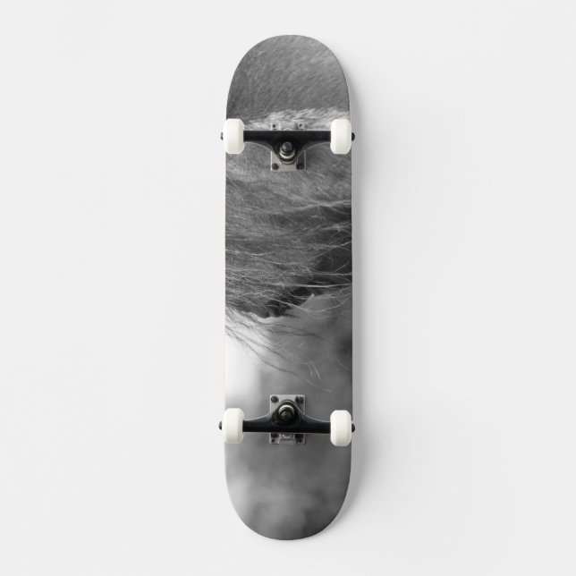 Skate puro-sangue (Frente)
