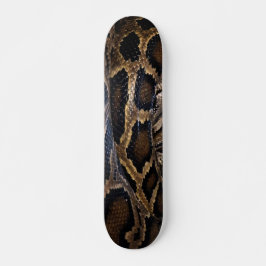 Skate Python