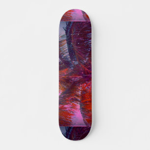 Skate Quadro de navegação de cor tropical