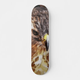 SKATE RED TAILED HAWK