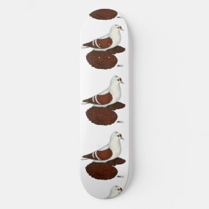 Skate Red Wing Pigeon