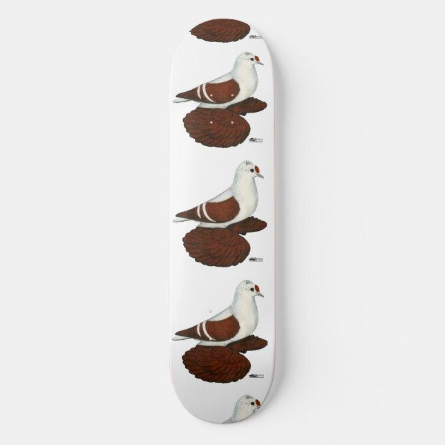 Skate Red Wing Pigeon (Frente)