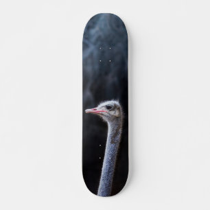 Skate retrato de avestruz