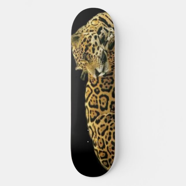 Skate Road Jaguar (Frente)