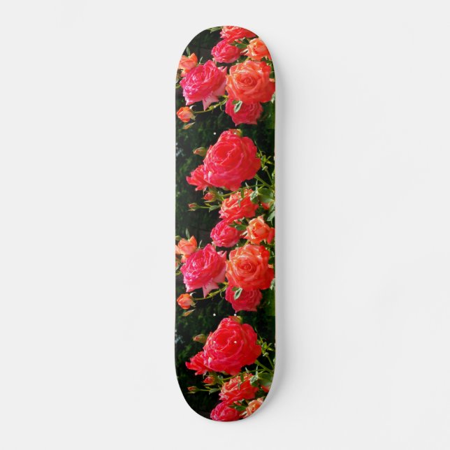 Skate Rosas Românticos de Coral (Frente)