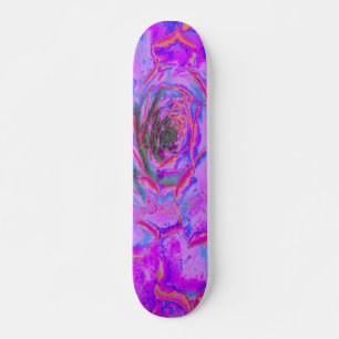 Skate Roxo e Magenta Suculenta Sedum Roseta