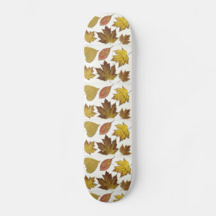 Skate Sai de qualquer lugar