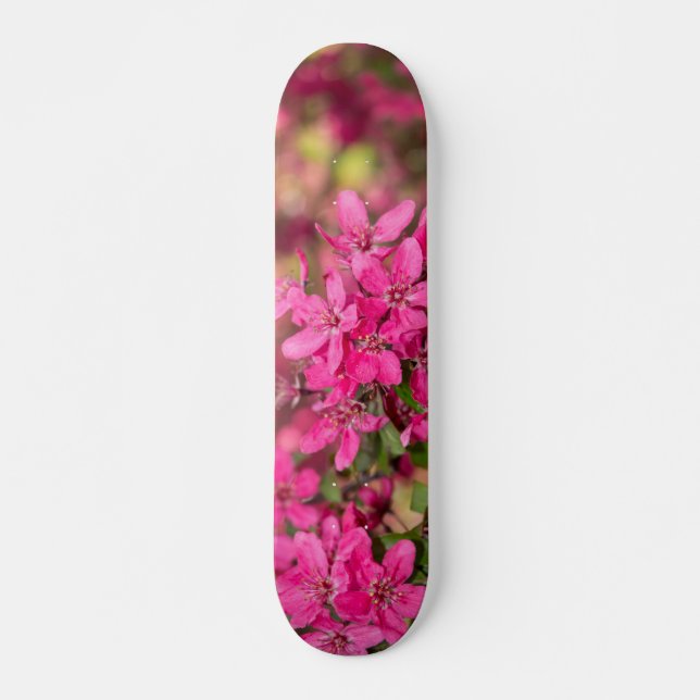 Skate Sangue de Apple Caranguejo (Frente)