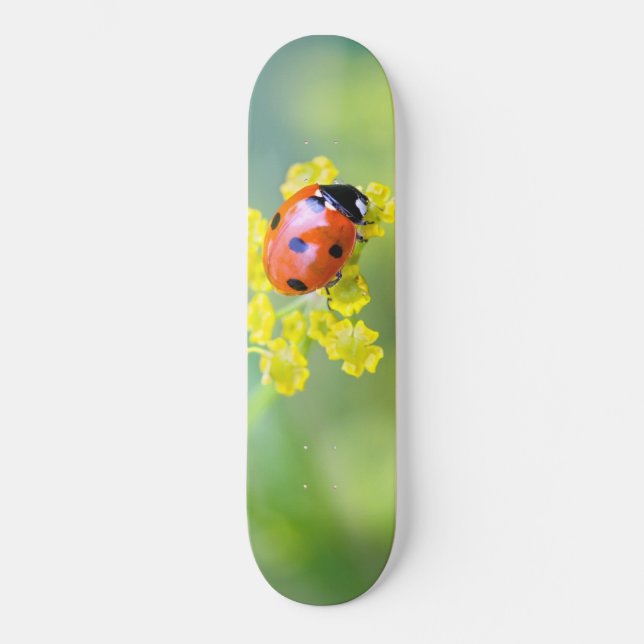Skate senhora no topo (Frente)