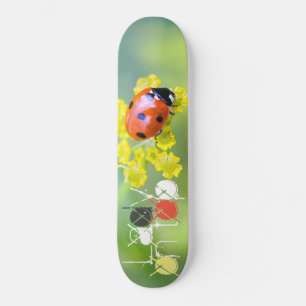 Skate senhora no topo
