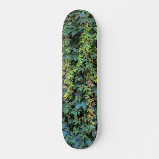 Skate Serene Green Ivy Wall Prendendo Folhas de Plantas