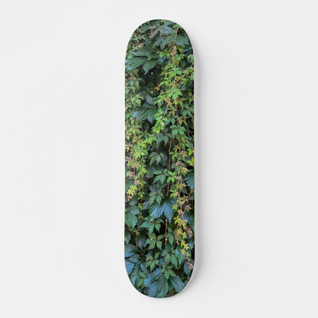 Skate Serene Green Ivy Wall Prendendo Folhas de Plantas  (Frente)