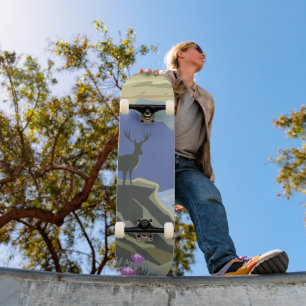 Skate Serenidade de Pico do Rio