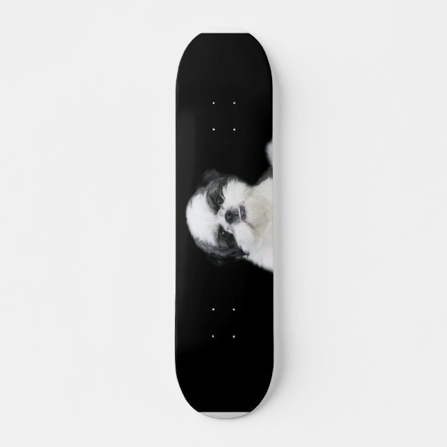 skate Shih Tzu (Frente)