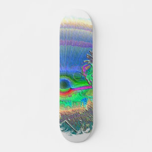 Skate Silverlake Sunset Oval Negativo
