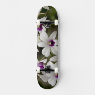 Skate Singapura (Sânscrito para Cidade do Leão). Naciona
