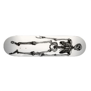 SKATE SKATE, ESQUELETO