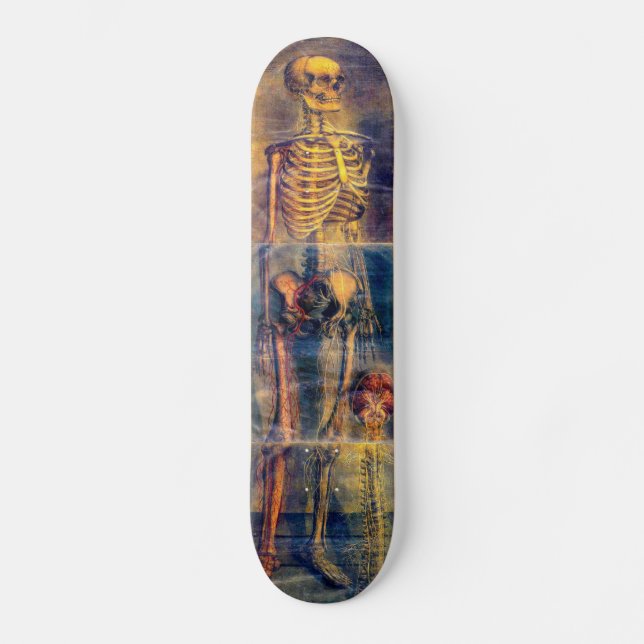 Skate Skeleton (Frente)