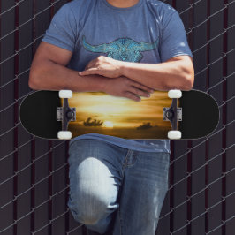 Skate Sol No Oceano Pacífico