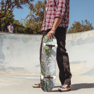 Skate Sonho de queda d'água das ondas tropicais #1 #viag