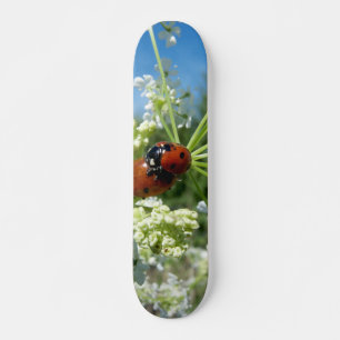 Skate sorte engraçada do amor brincando de primavera