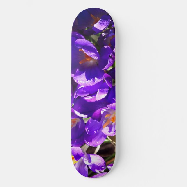 SKATE SPRING CROCUS (Frente)