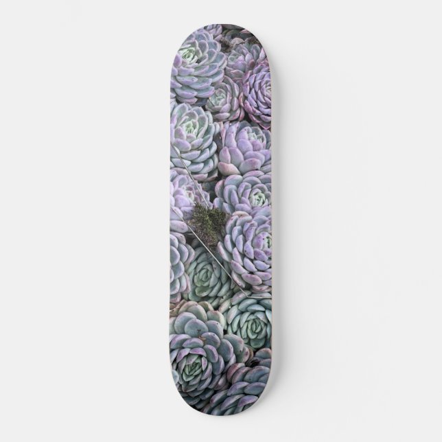 Skate Suculentas, Suculentas, Suculentas  (Frente)
