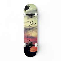 skate sunset
