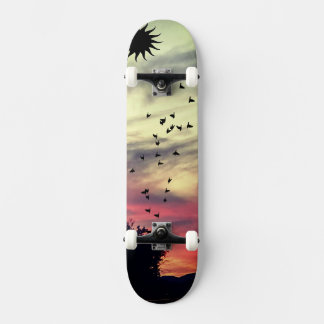 skate sunset